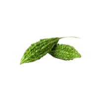 Bitter Melon