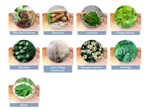 JointVive Ingredients