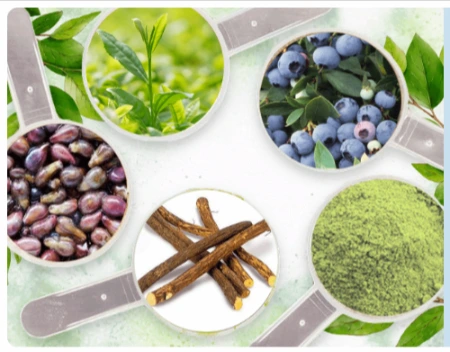 Neuro Surge Ingredients