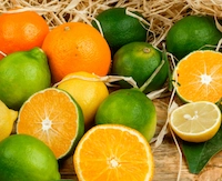 Quercetin